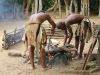 Dumazulu